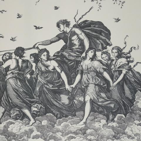 Chariot Of Dawn Toile Panel Set