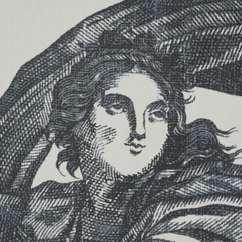Chariot Of Dawn Toile Panel Set