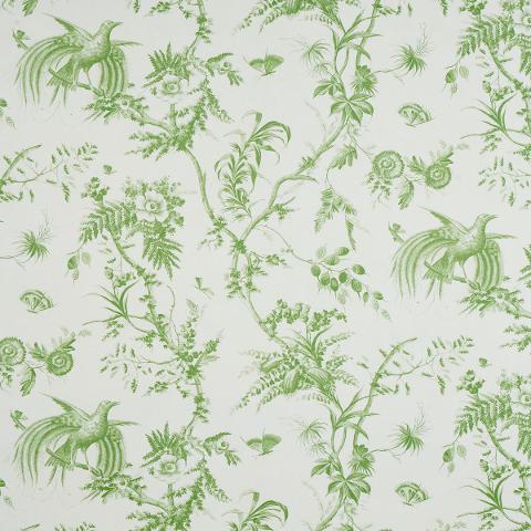 TOILE DE LA PRAIRIE