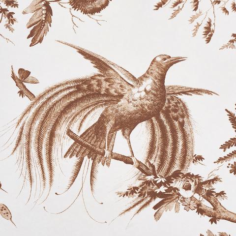 Toile De La Prairie