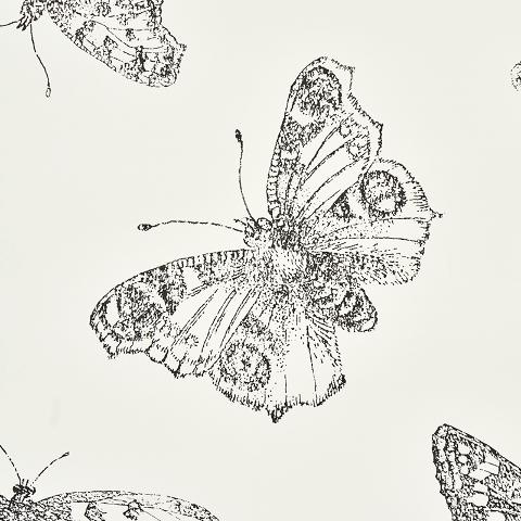Burnell Butterfly