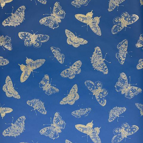 BURNELL BUTTERFLY