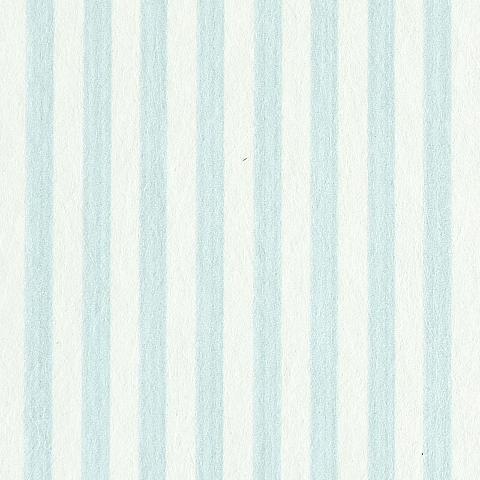 Edwin Stripe Narrow