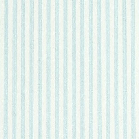 Edwin Stripe Narrow