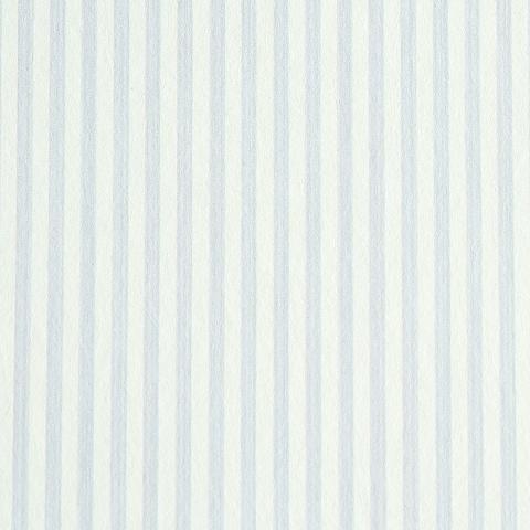 Edwin Stripe Narrow
