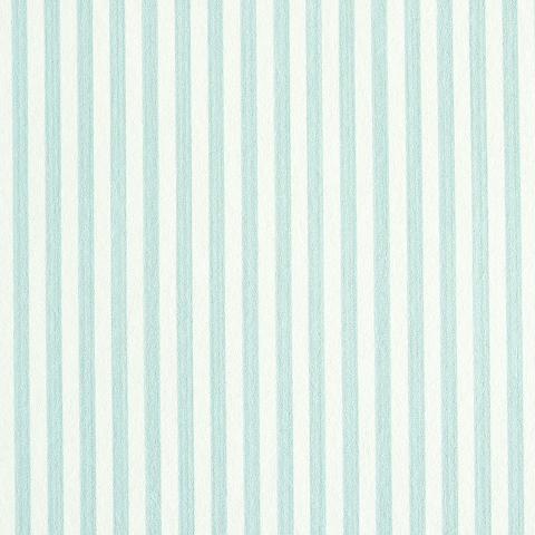Edwin Stripe Narrow