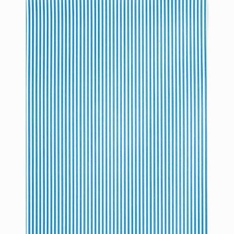 Edwin Stripe Narrow