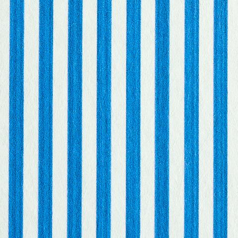 Edwin Stripe Narrow