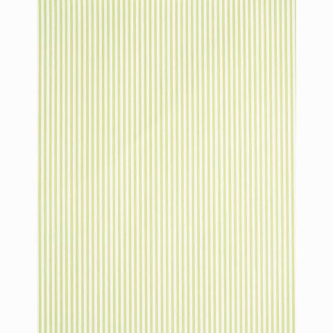 Edwin Stripe Narrow