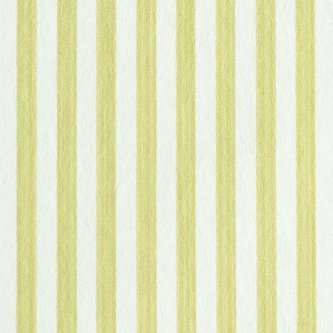 Edwin Stripe Narrow