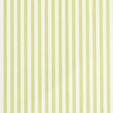 Edwin Stripe Narrow