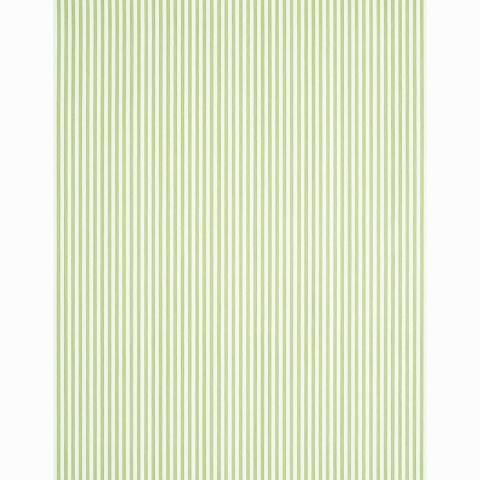 Edwin Stripe Narrow