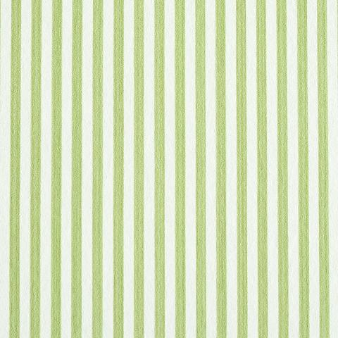 Edwin Stripe Narrow