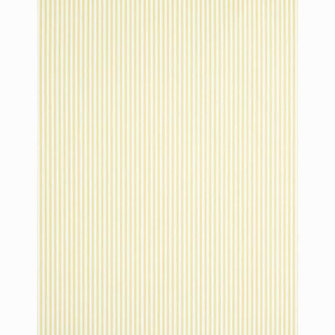 Edwin Stripe Narrow