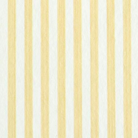 Edwin Stripe Narrow