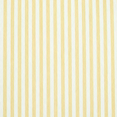 Edwin Stripe Narrow