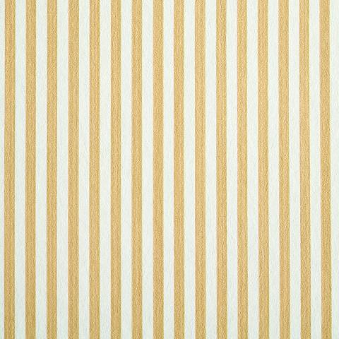 EDWIN STRIPE NARROW