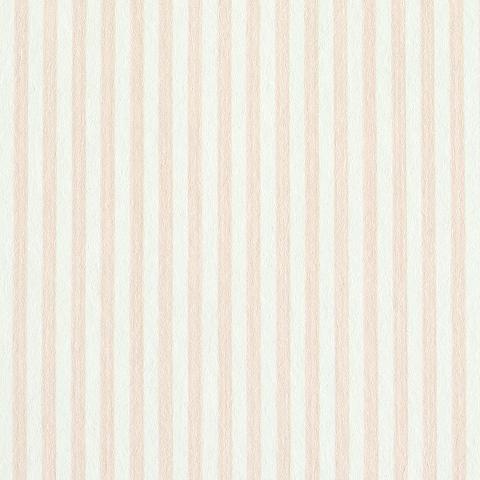 Edwin Stripe Narrow