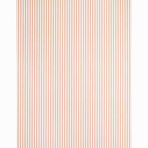 Edwin Stripe Narrow