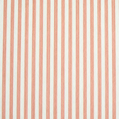 Edwin Stripe Narrow