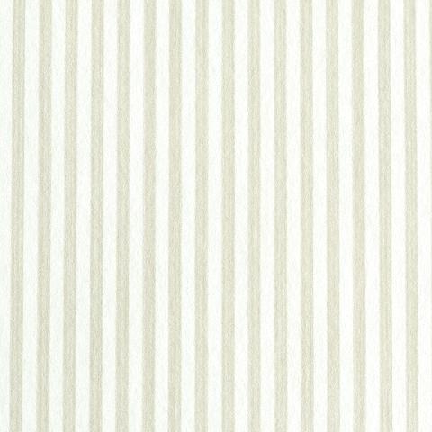 Edwin Stripe Narrow