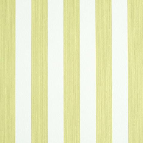 Edwin Stripe Medium