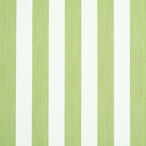 EDWIN STRIPE MEDIUM