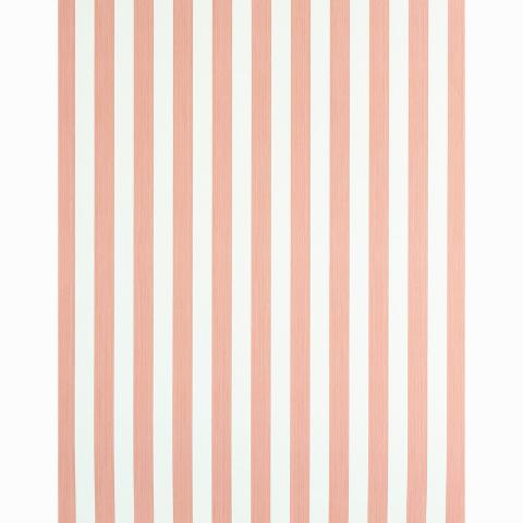 Edwin Stripe Medium