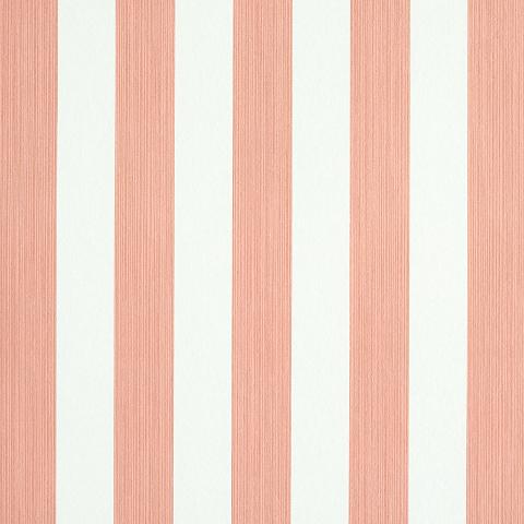 Edwin Stripe Medium