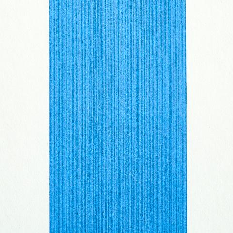 Edwin Stripe Wide