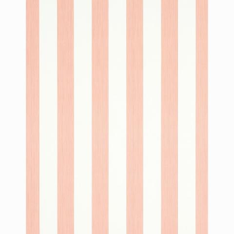 Edwin Stripe Wide
