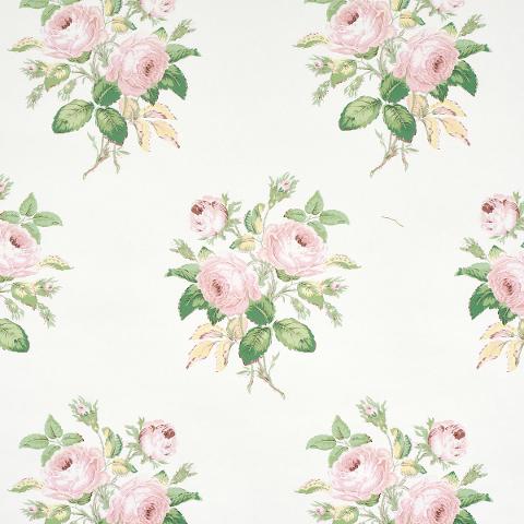 LOUDON ROSE