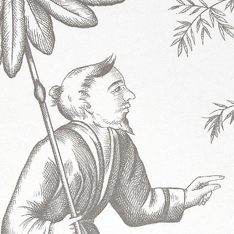 Shengyou Toile