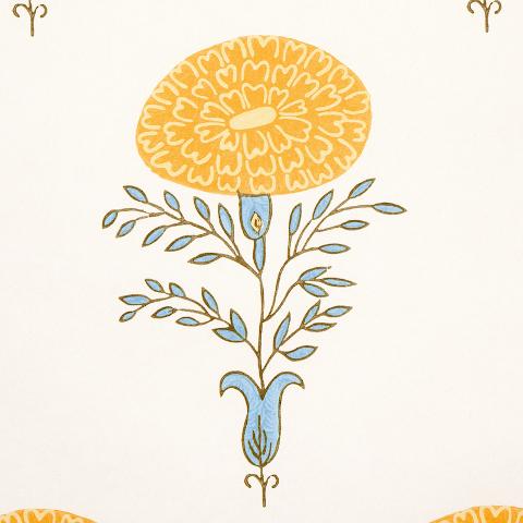 Marigold