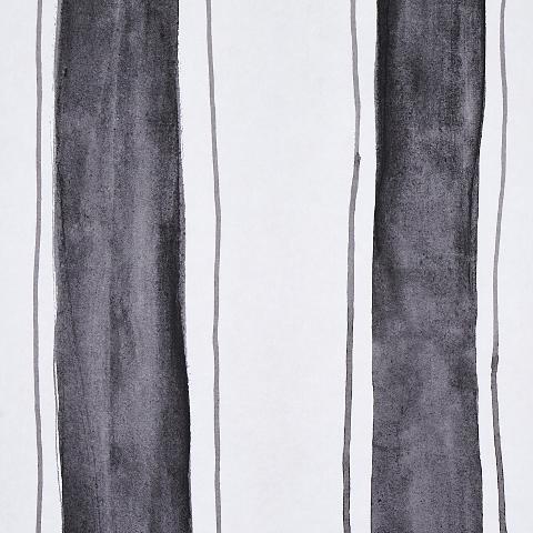 Tracing Stripes