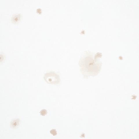 Stellar