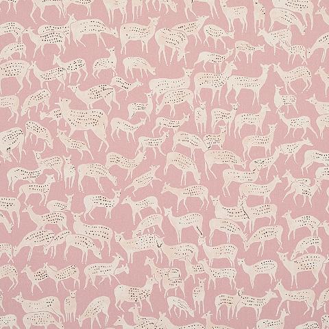 Fauna