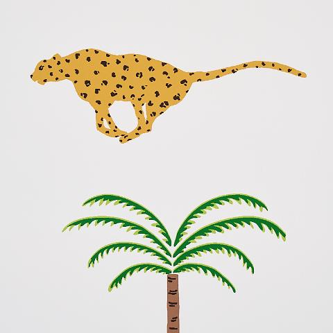 A Wild Desert Dream