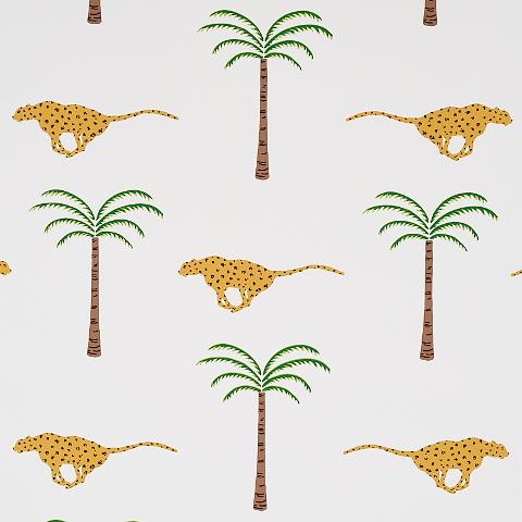 A Wild Desert Dream