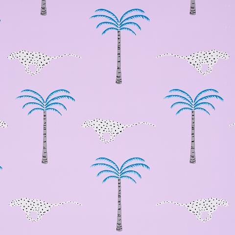 A Wild Desert Dream