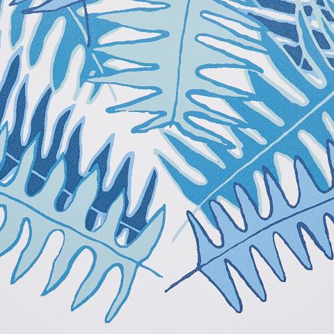Canyon Ferns