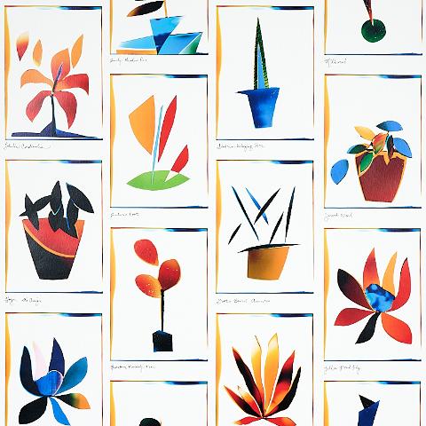 BOTANICALS