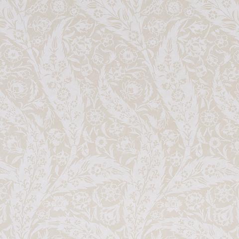 SAZ PAISLEY