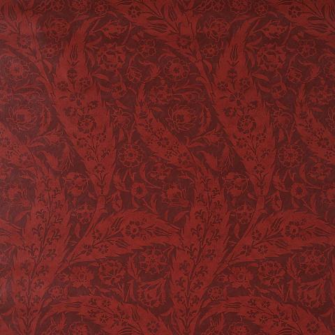 SAZ PAISLEY