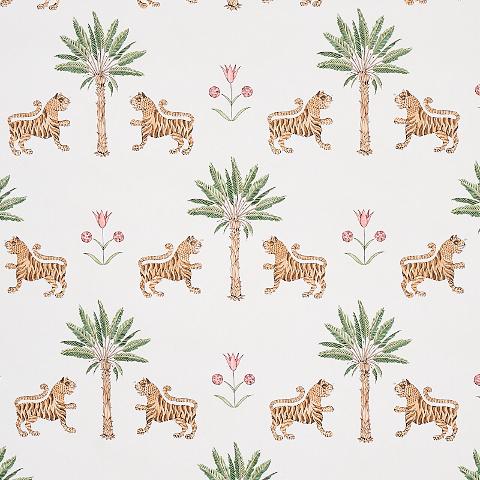 TIGER PALM
