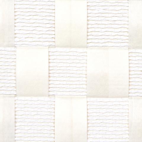 Textured Check