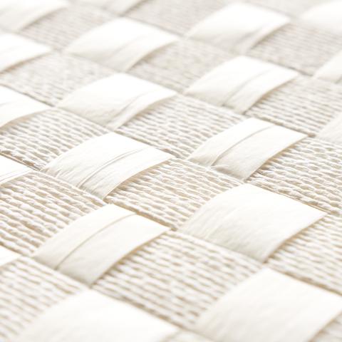 Textured Check