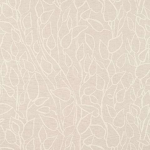 SOLANDRA VINE SISAL