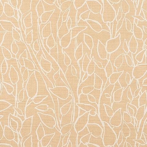 SOLANDRA VINE SISAL