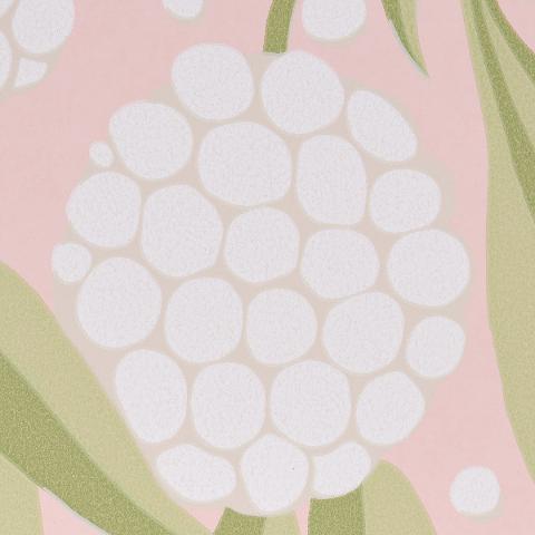 Rubus